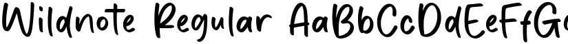 Wildnote font download