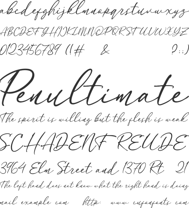 Forttuna font preview