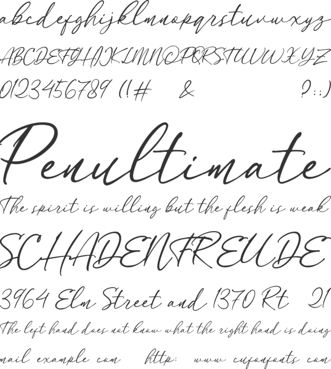 Forttuna font preview