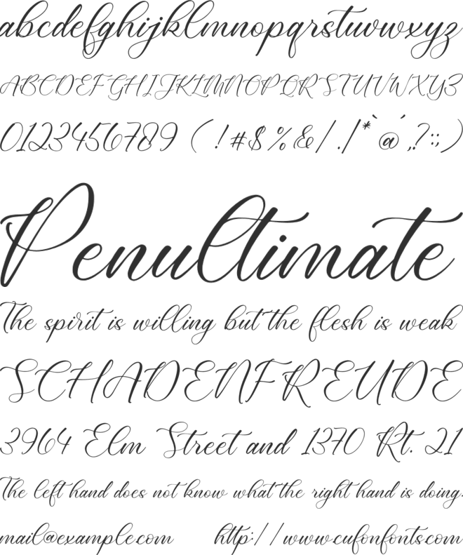 Cathylise Janetson font preview