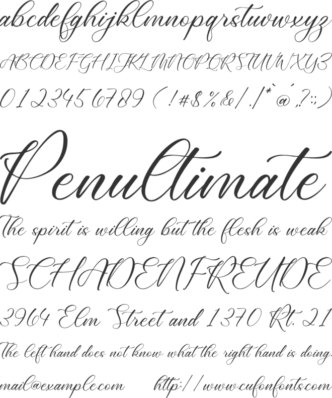 Cathylise Janetson font preview