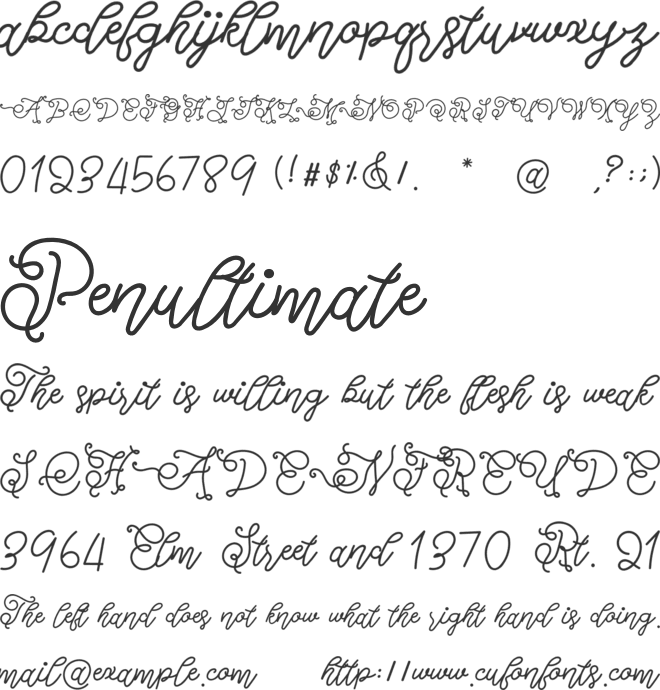 Mister Cartoon font preview