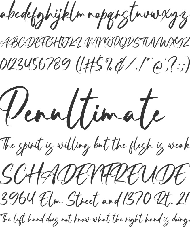 Resttu Pagi font preview