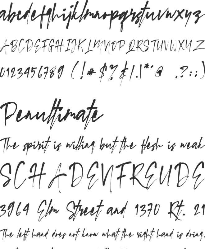 SwagSignature font preview
