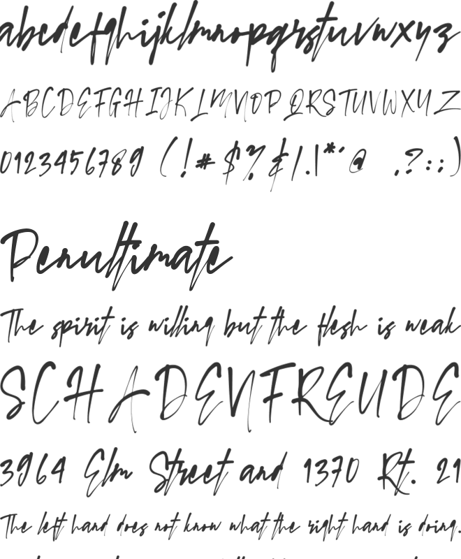 SwagSignature font preview