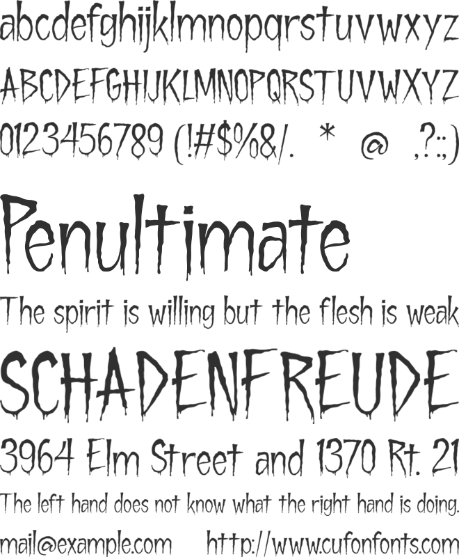 Rankday font preview