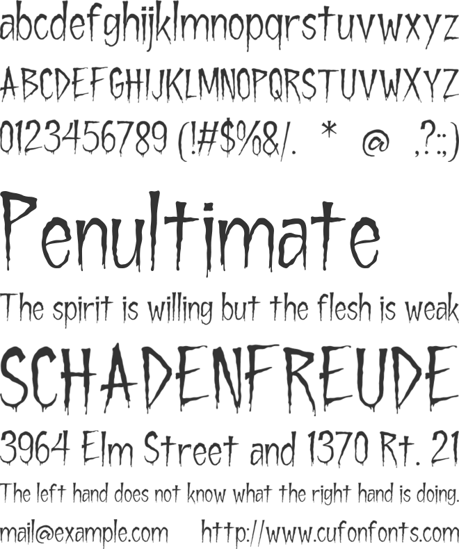 Rankday font preview