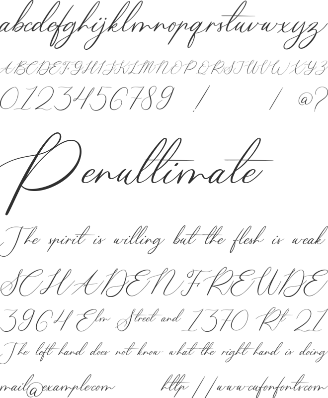 Calligrapher font preview
