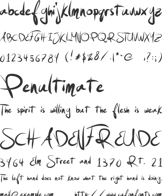 Ninja Boys font preview