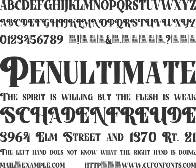 Bidzina font preview