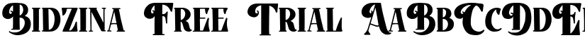 Bidzina font download