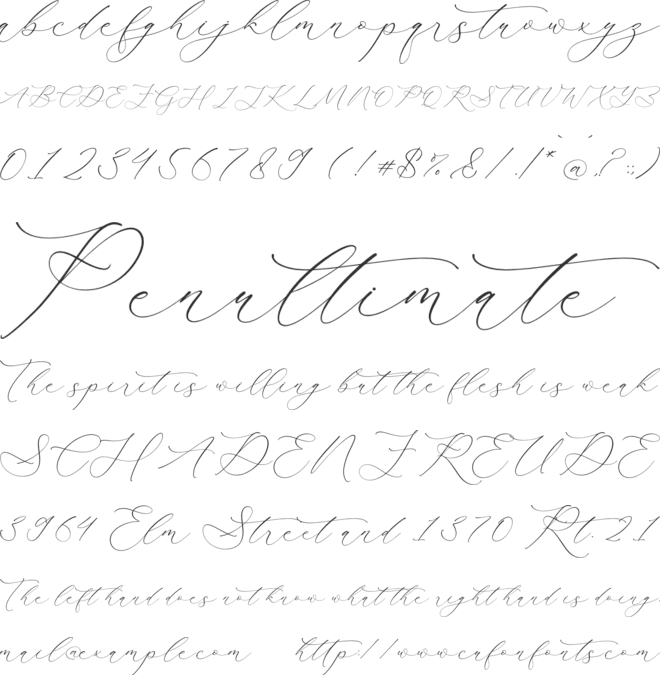 Fantasy Qelirole Script font preview