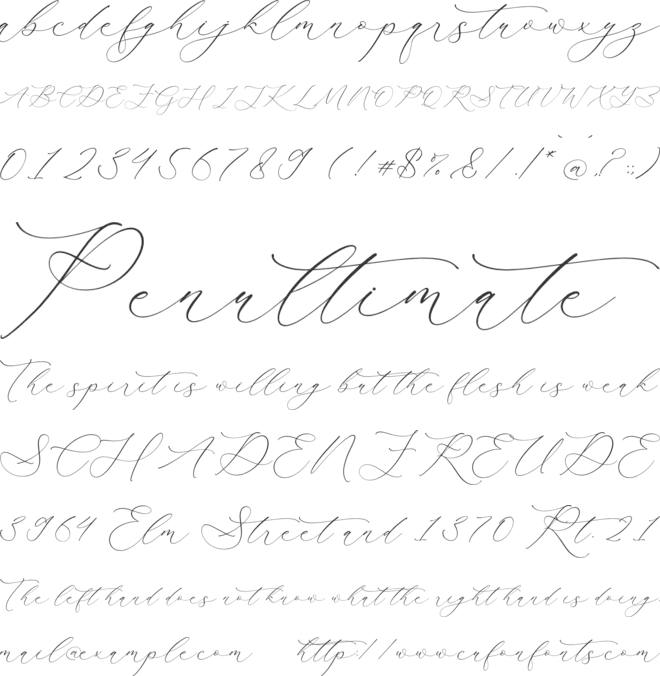 Fantasy Qelirole Script font preview