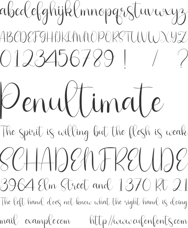 Nicola Aquine font preview
