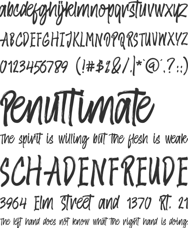 Amster Brush font preview