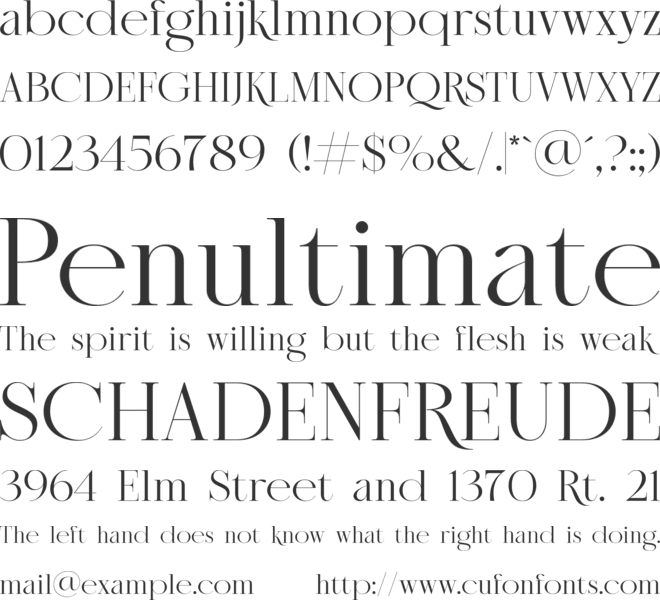 NT Epika font preview