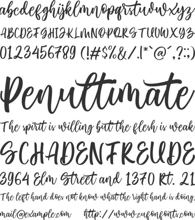delvina font preview