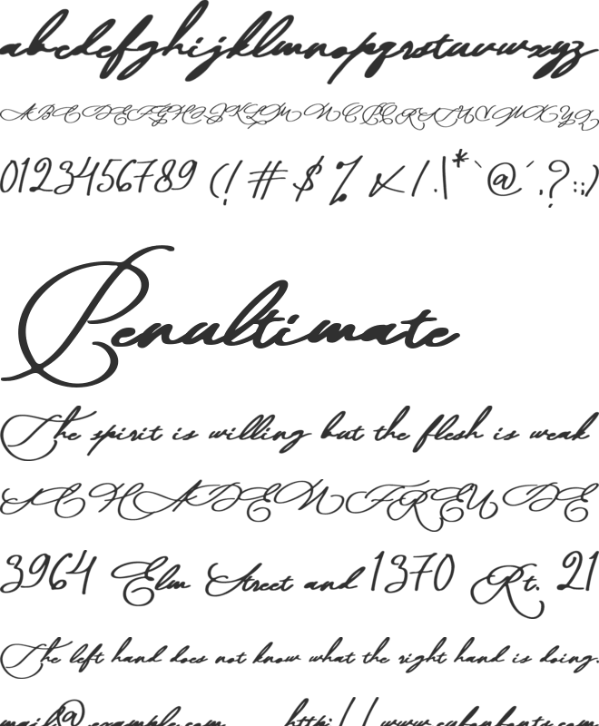 Moana Script font preview