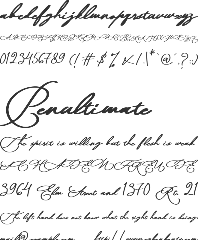 Moana Script font preview