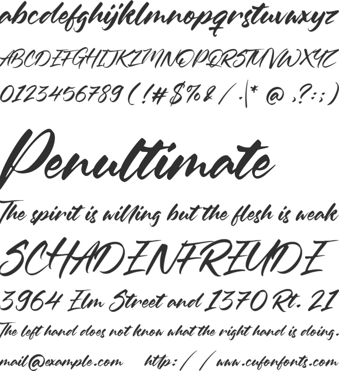 Oleandro font preview