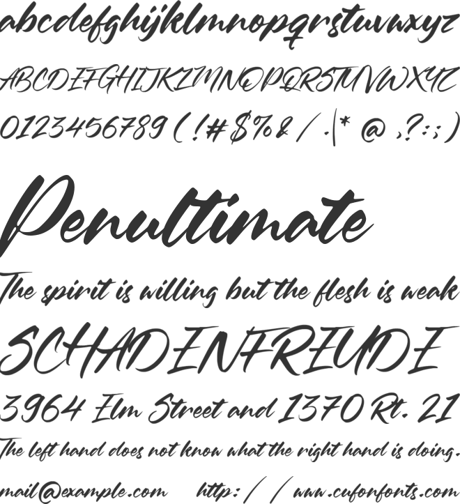 Oleandro font preview