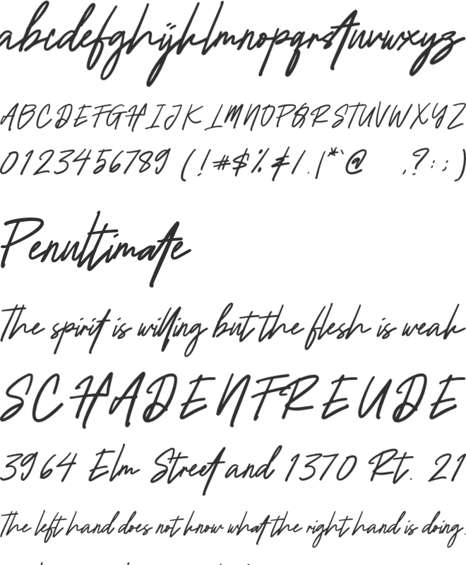 FineSignature font preview