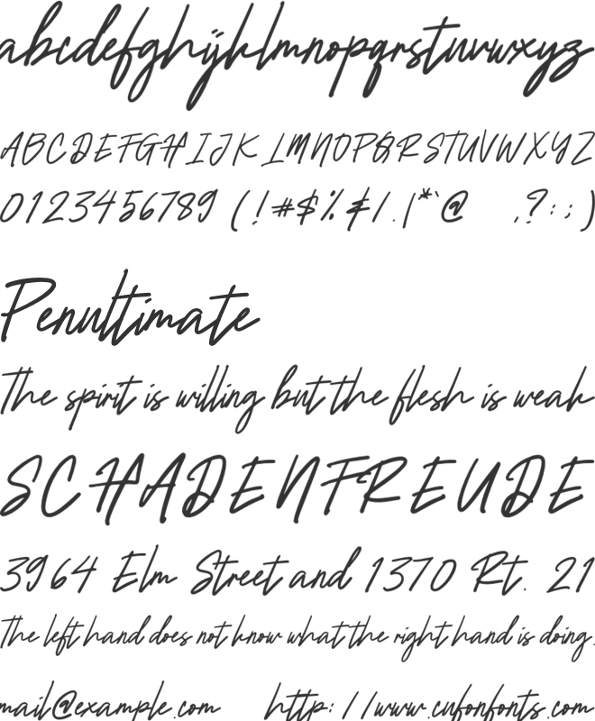 FineSignature font preview