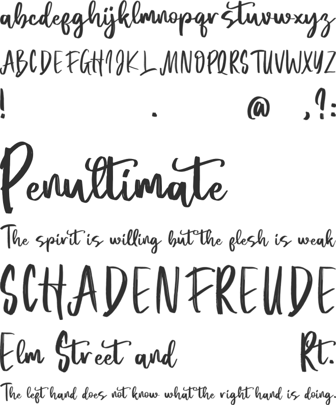 Anida font preview