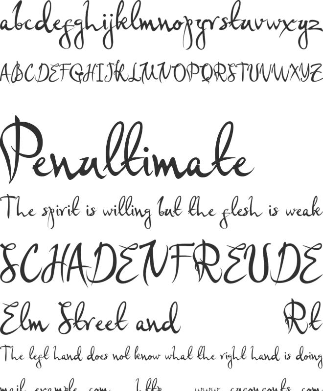 Simple plan font preview