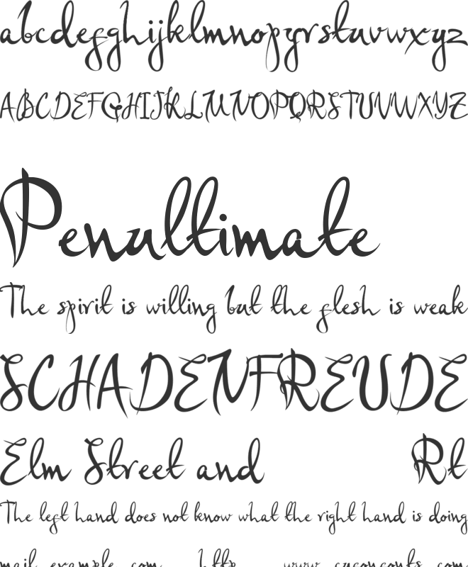 Simple plan font preview