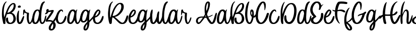 Birdzcage Regular font