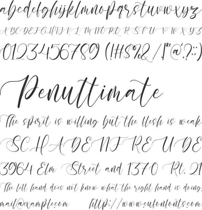 Sellove font preview