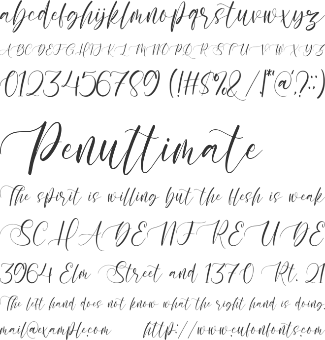 Sellove font preview