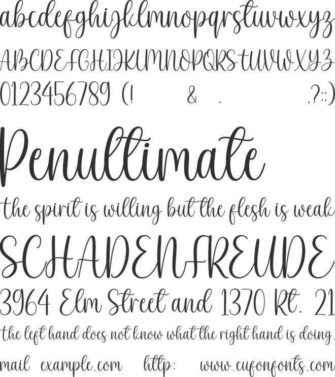 Aesthetic House font preview