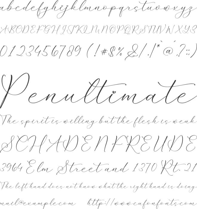 Klasynta Gelisha font preview