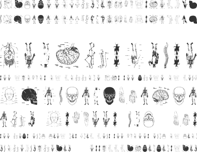 Tax Taxation font preview