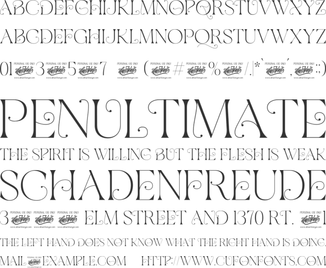 Bracesso font preview