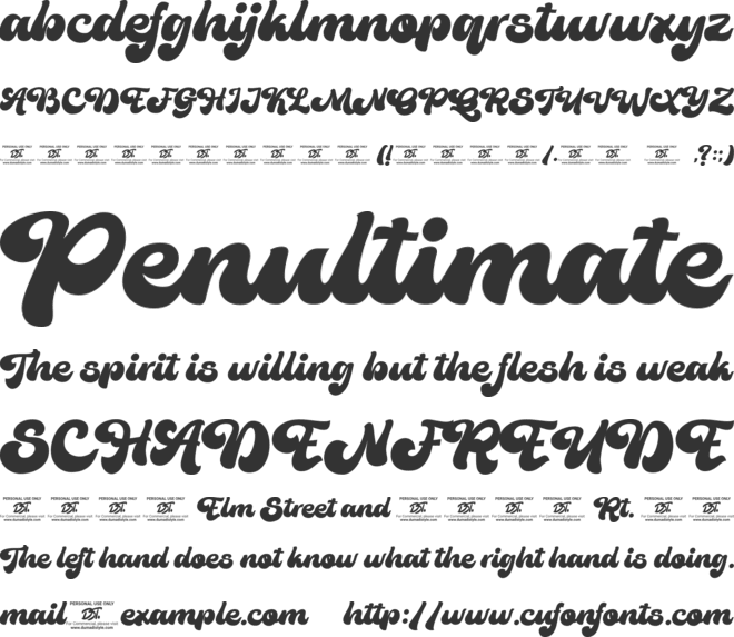 The Bujank Script font preview