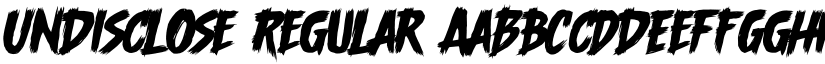 Undisclose Regular font
