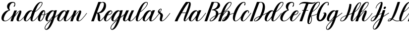 Endogan Regular font