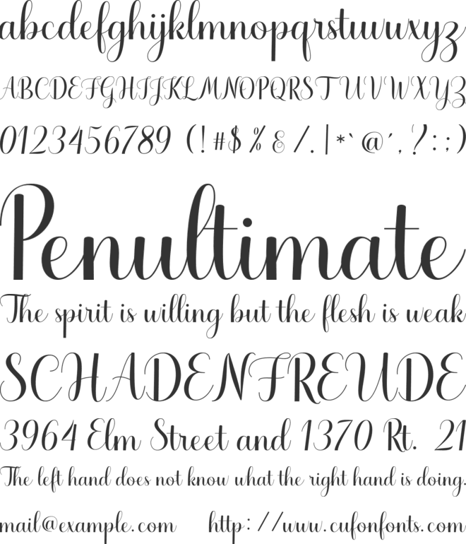 Haydena font preview