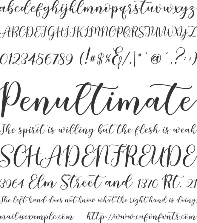 Hamidha font preview