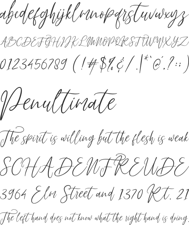 Fadhillah Signature font preview