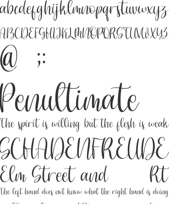 Celine Genta font preview