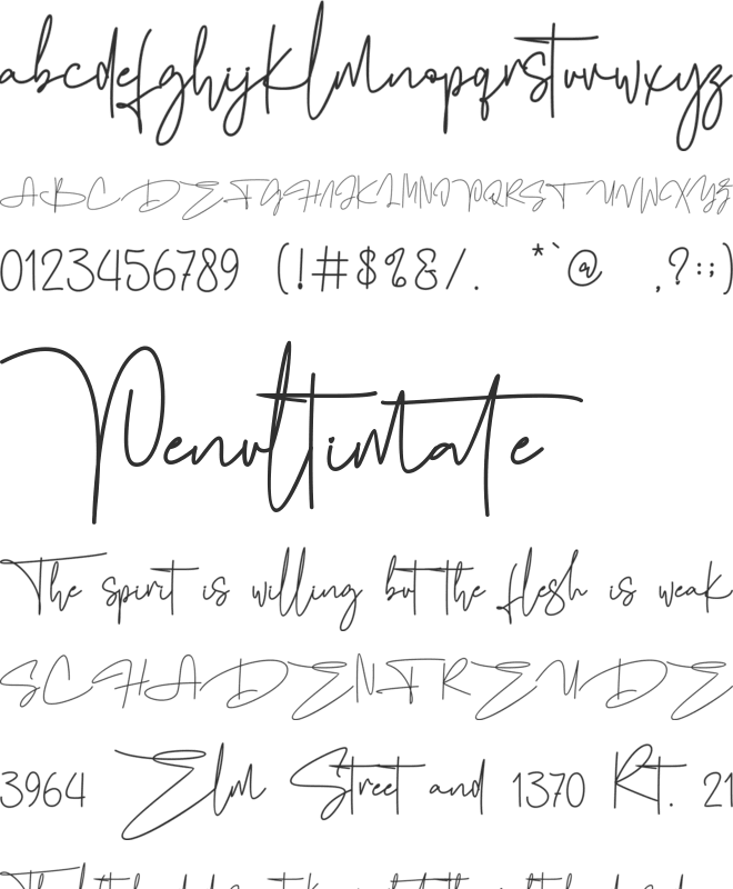 Fashion Signature-Personal use font preview