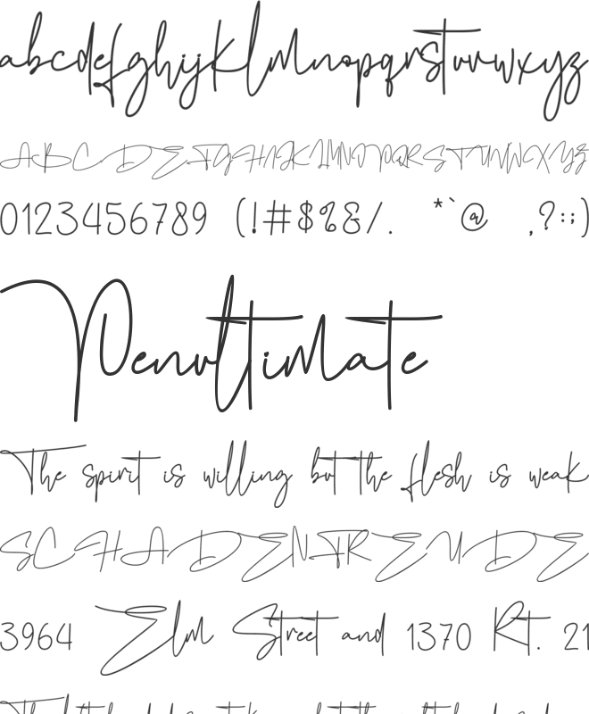 Fashion Signature-Personal use font preview