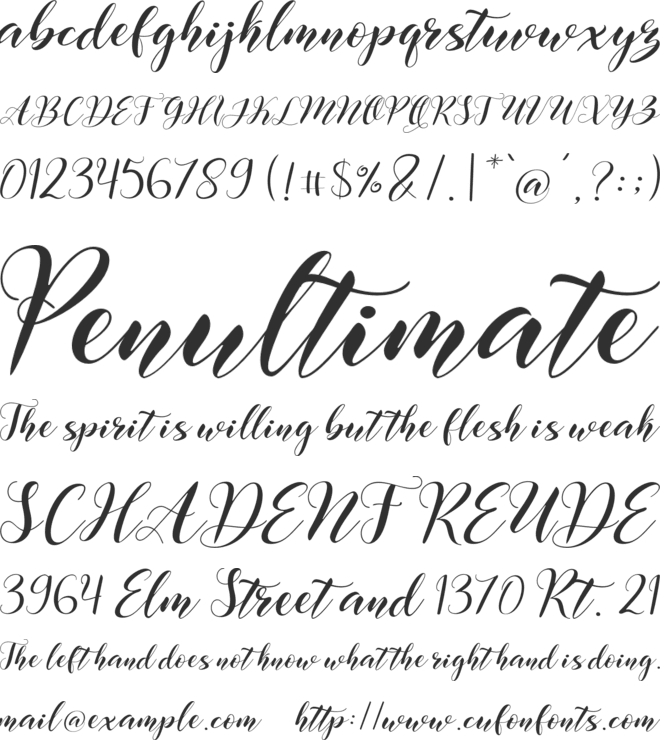 Albertyna font preview
