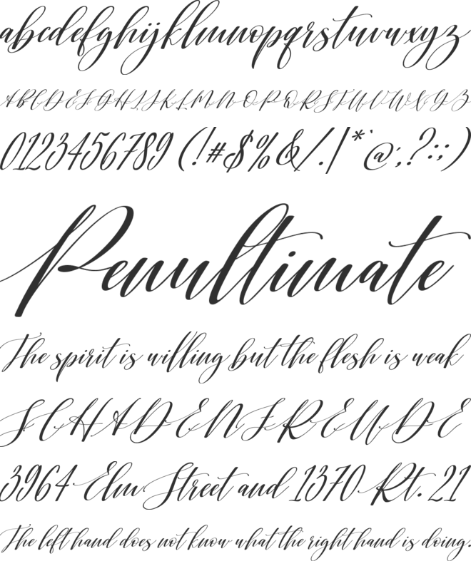 Shington Script font preview