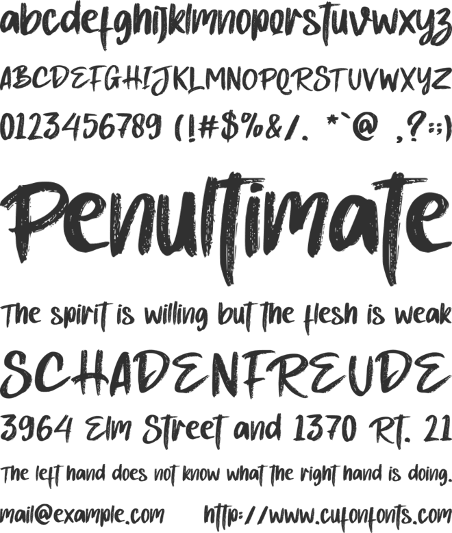 Bearer - Personal use font preview