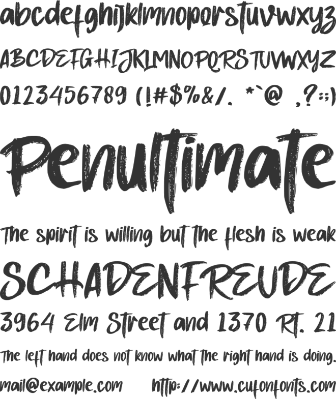 Bearer - Personal use font preview